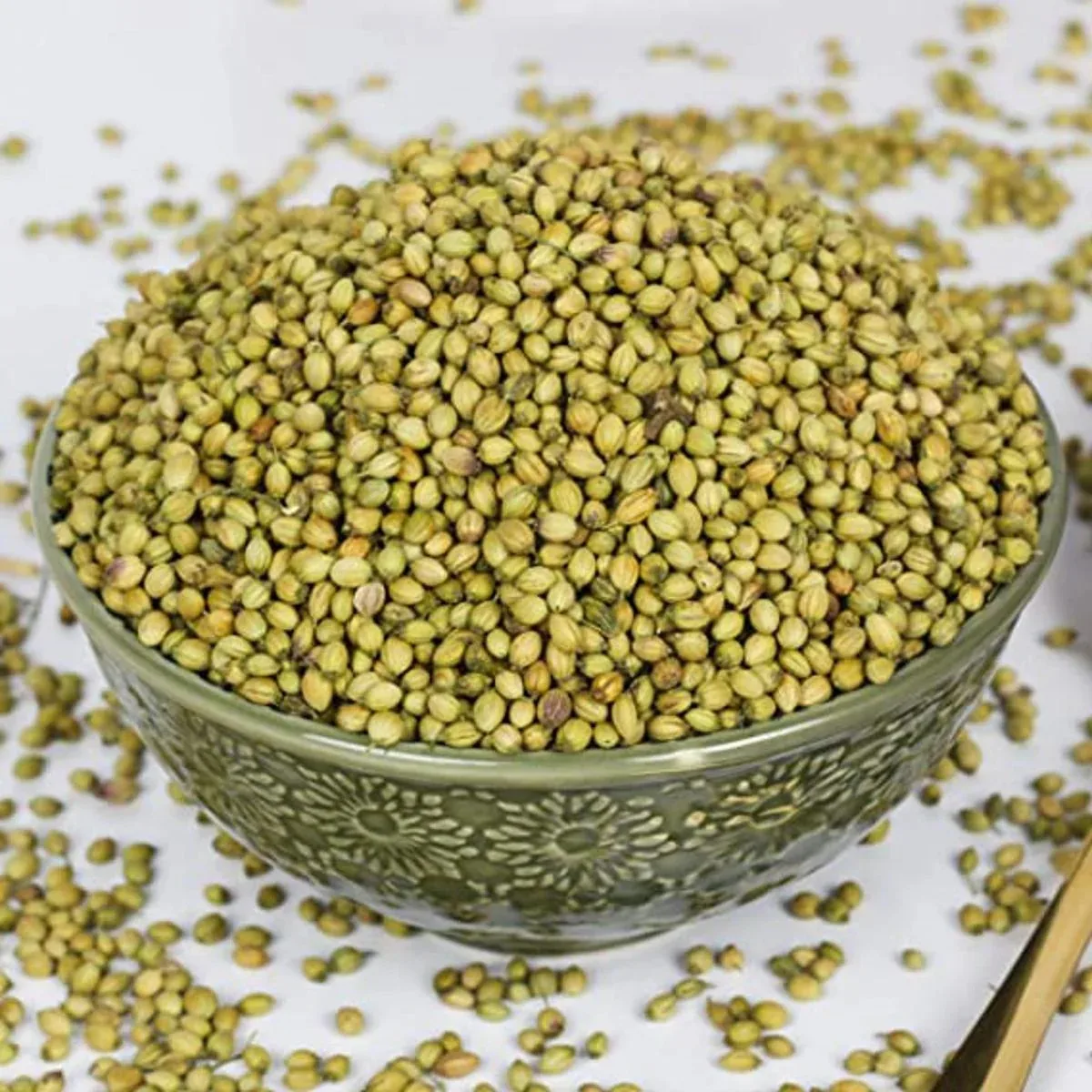 Coriander